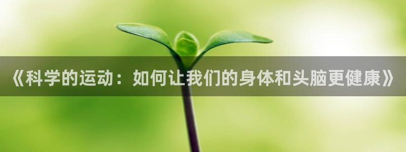 关键词