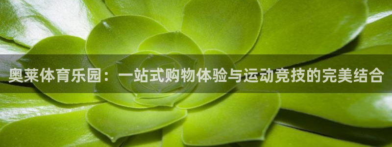 182体育app官方正版下载地址