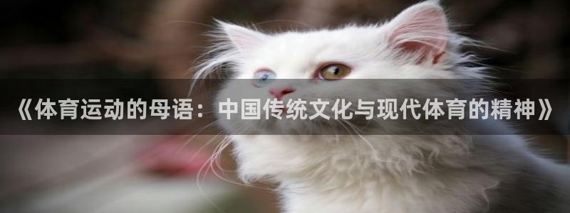 182体育怎么样